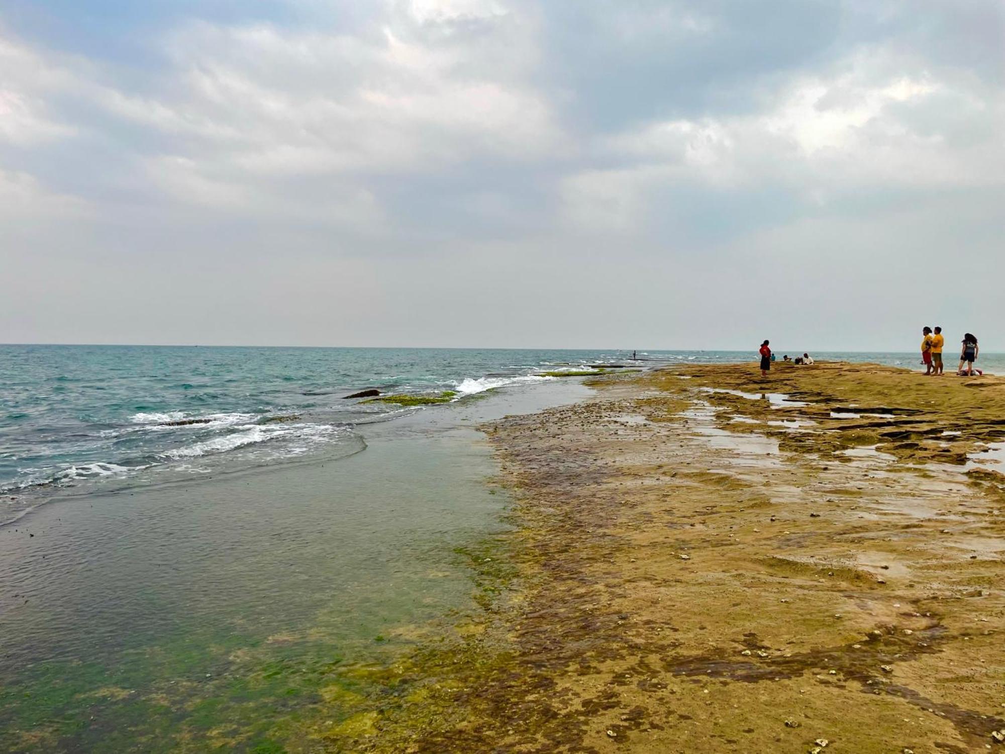 Negombo Morawala Beach Villa ภายนอก รูปภาพ